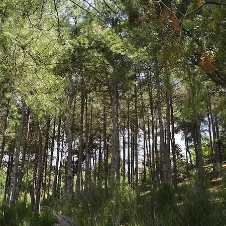 La Del Burguillo Holiday home *