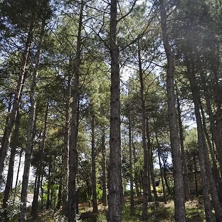 La Del Burguillo Holiday home El Barraco