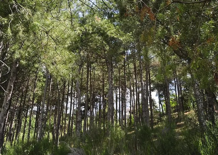 La Del Burguillo Дом отдыха *