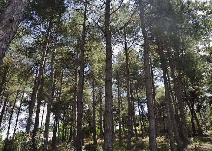 La Del Burguillo Дом отдыха Эль-Баррако